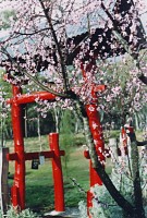 Antony Symons Sculpture Garden Entrance