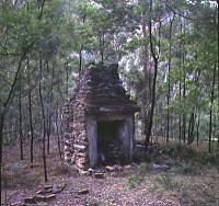 Newnes ruins