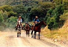 Going Bush in Glen Davis - Photo by Chris Hillel