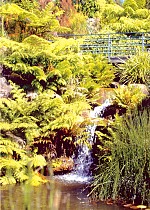 Mount Tomah Botanic Garden