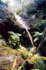 Wollemi National Park