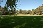 Playing Field