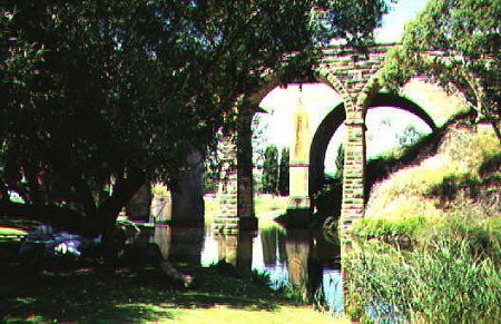 Archvale Trout Farm